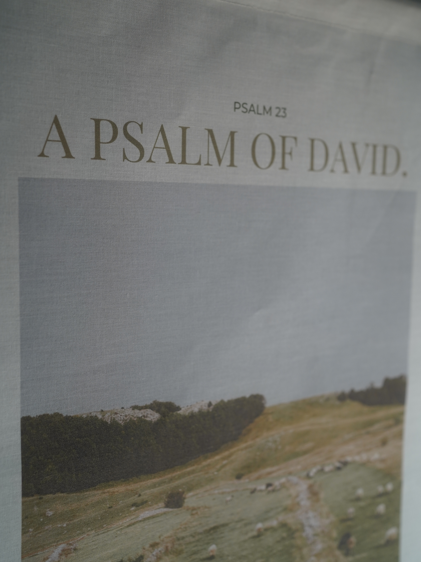 Psalm 23 - A Psalm of David